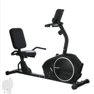 Recumbent Bike